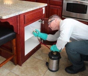 Inspecting cabinet, BJ's Consumer's Choice Pest Control