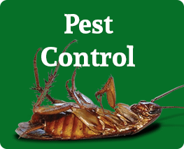 Pest Control Turlock, BJ's Consumer's Chocie Pest Control